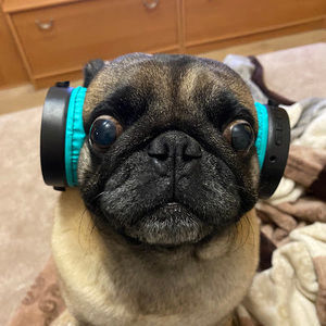 Meet your Posher, Kateryna